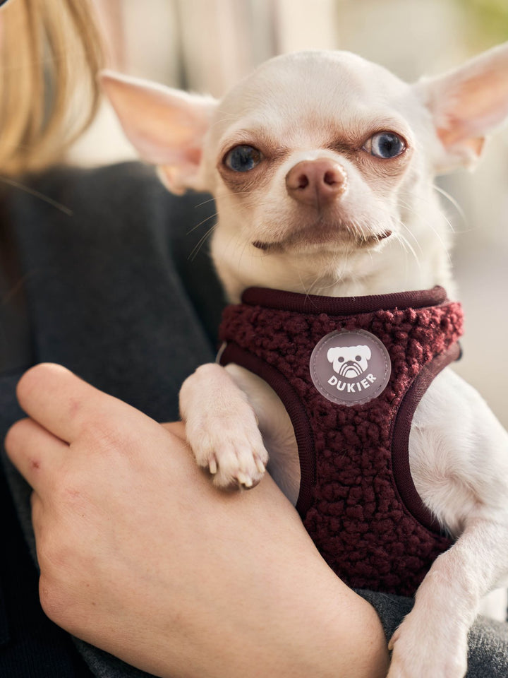 PETTORINA PER CANE BODY TEDDY CHERRY