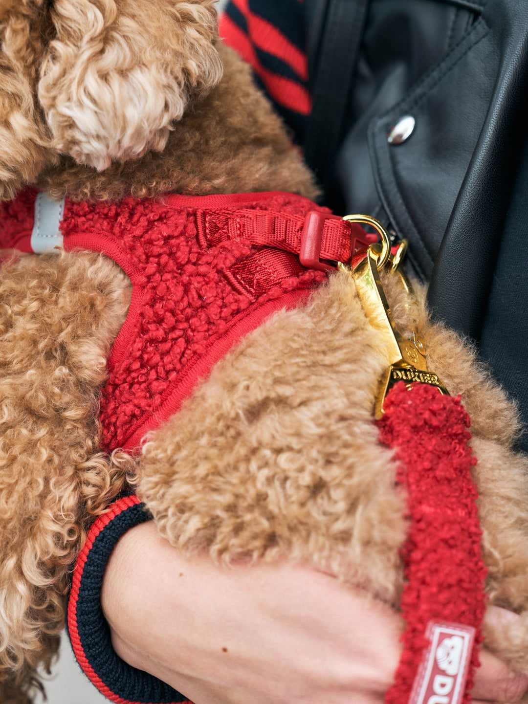 PETTORINA PER CANE BODY TEDDY RED