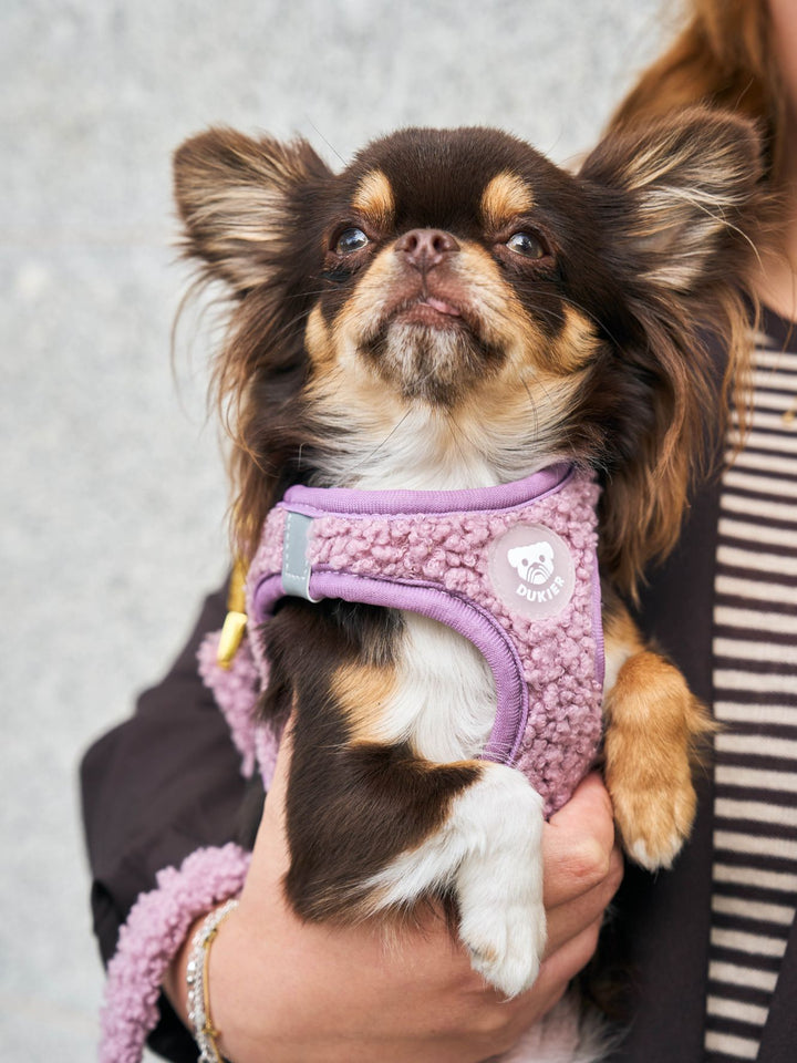 PETTORINA PER CANE BODY TEDDY LILAC