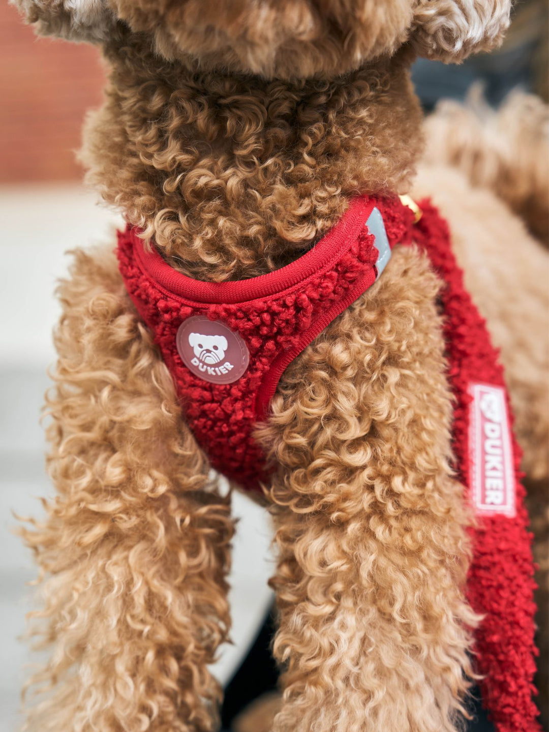 PETTORINA PER CANE BODY TEDDY RED