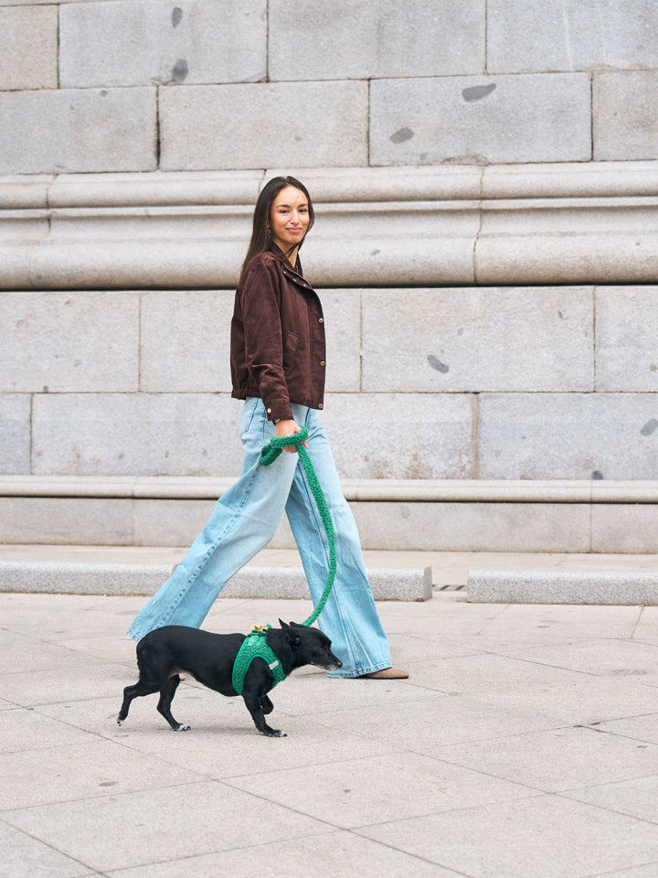 PETTORINA PER CANE BODY TEDDY GREEN