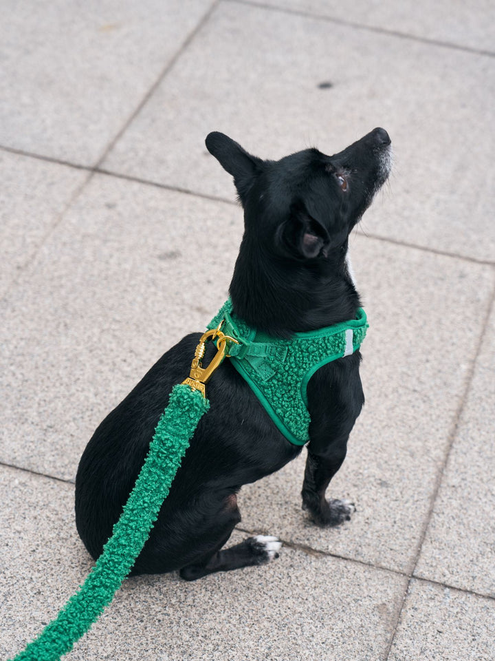 PETTORINA PER CANE BODY TEDDY GREEN