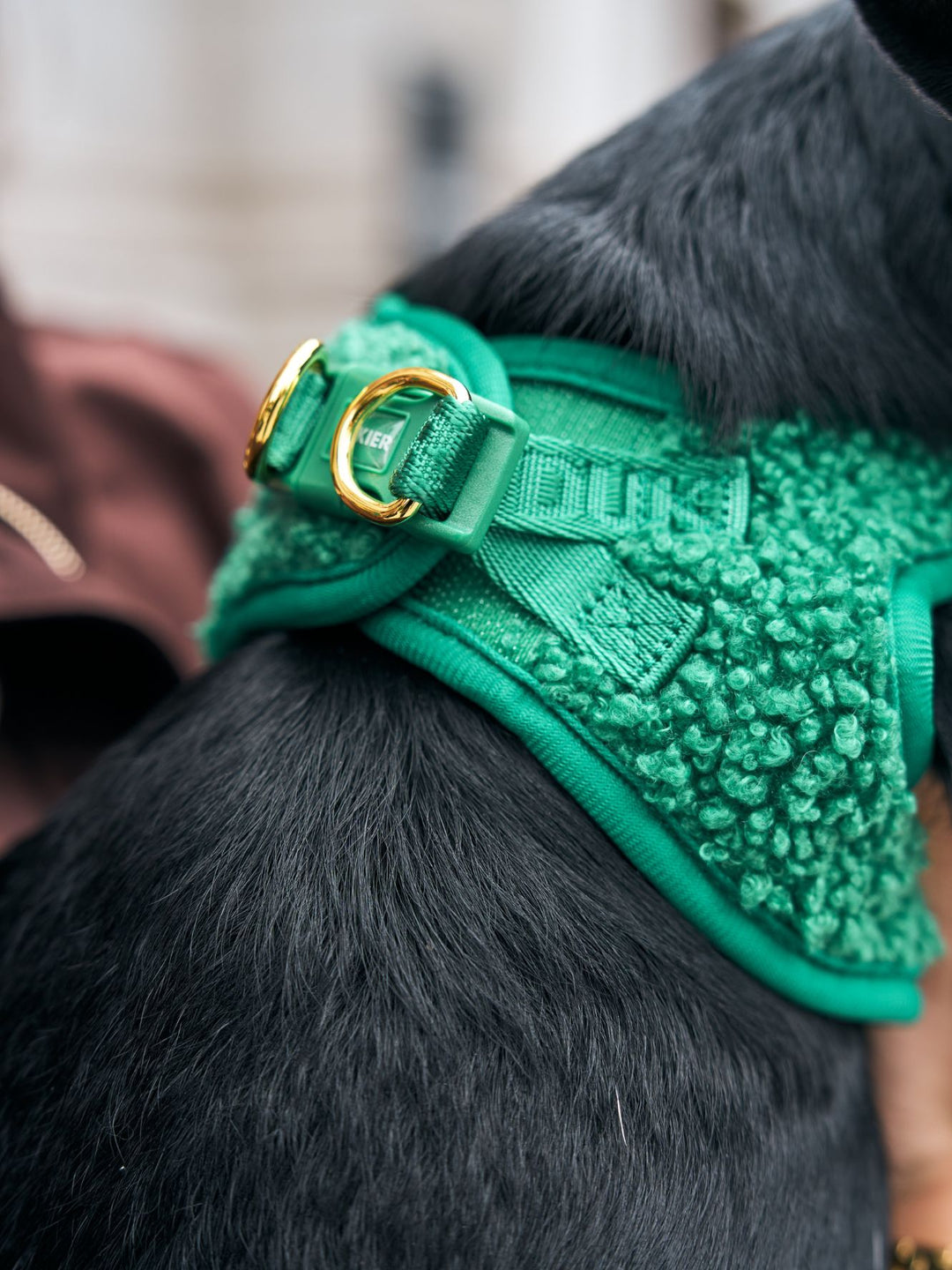 PETTORINA PER CANE BODY TEDDY GREEN