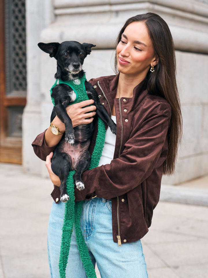 PETTORINA PER CANE BODY TEDDY GREEN