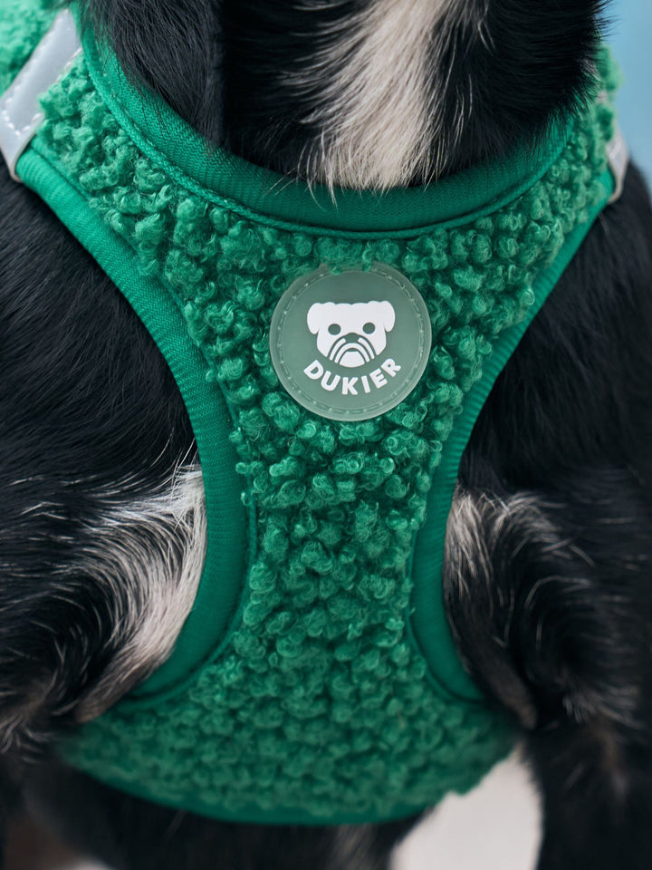 PETTORINA PER CANE BODY TEDDY GREEN