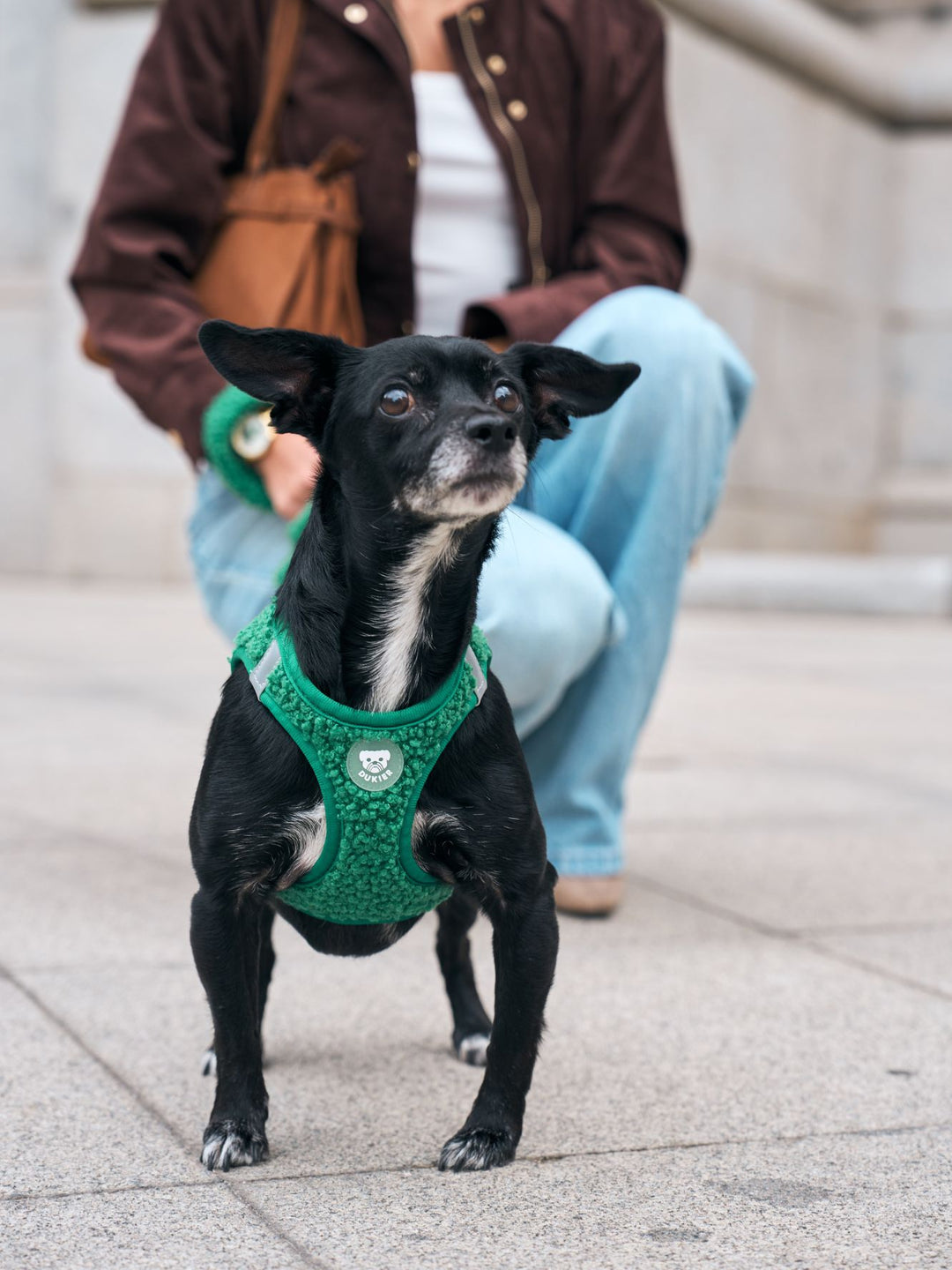 PETTORINA PER CANE BODY TEDDY GREEN