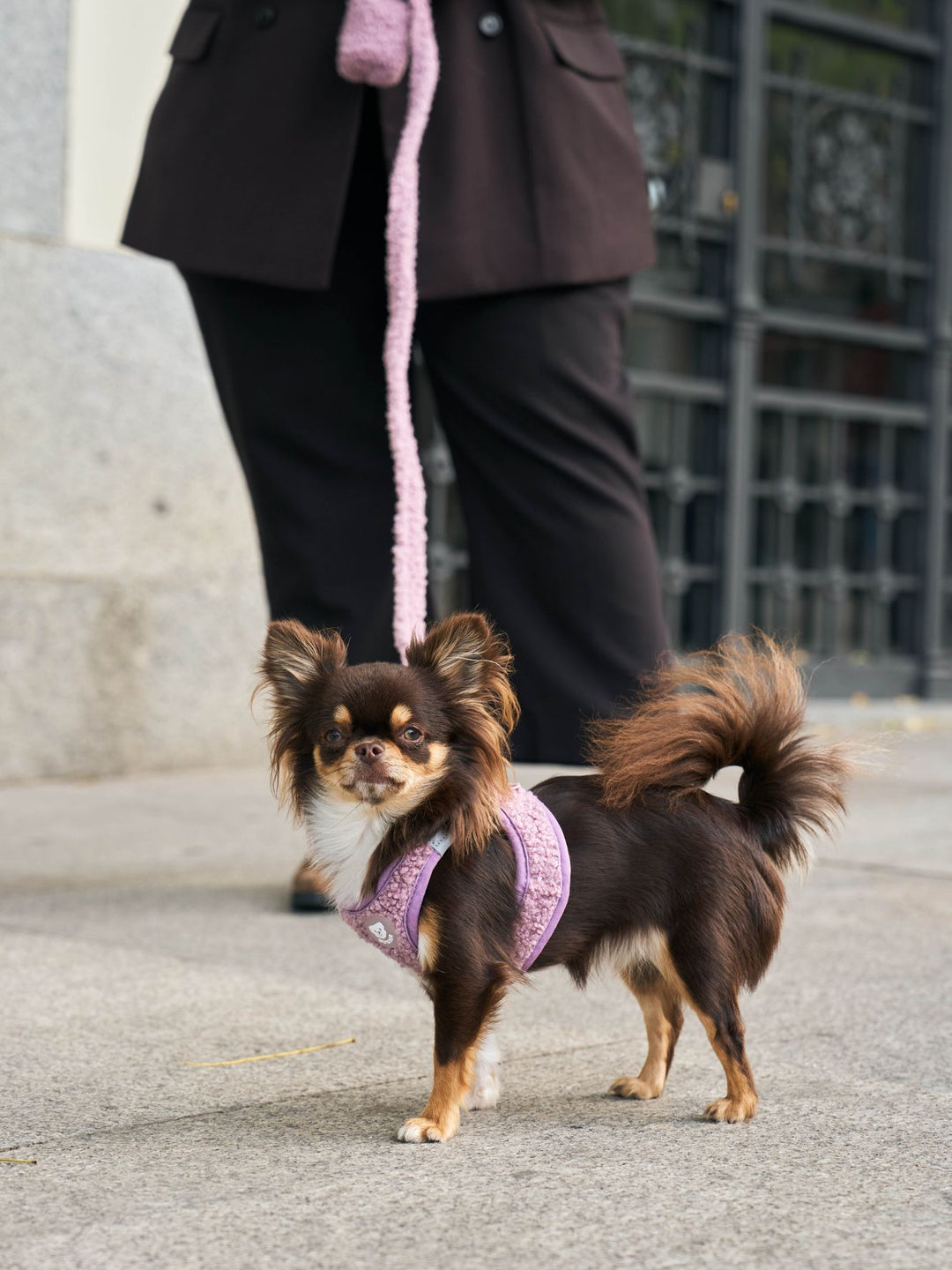 PETTORINA PER CANE BODY TEDDY LILAC