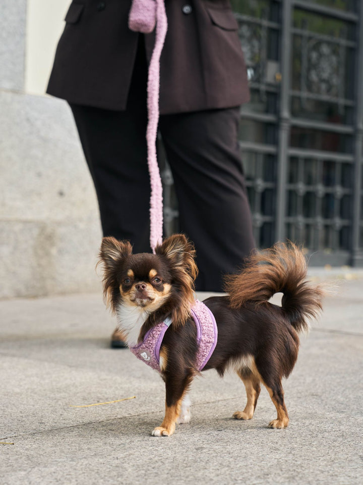 PETTORINA PER CANE BODY TEDDY LILAC