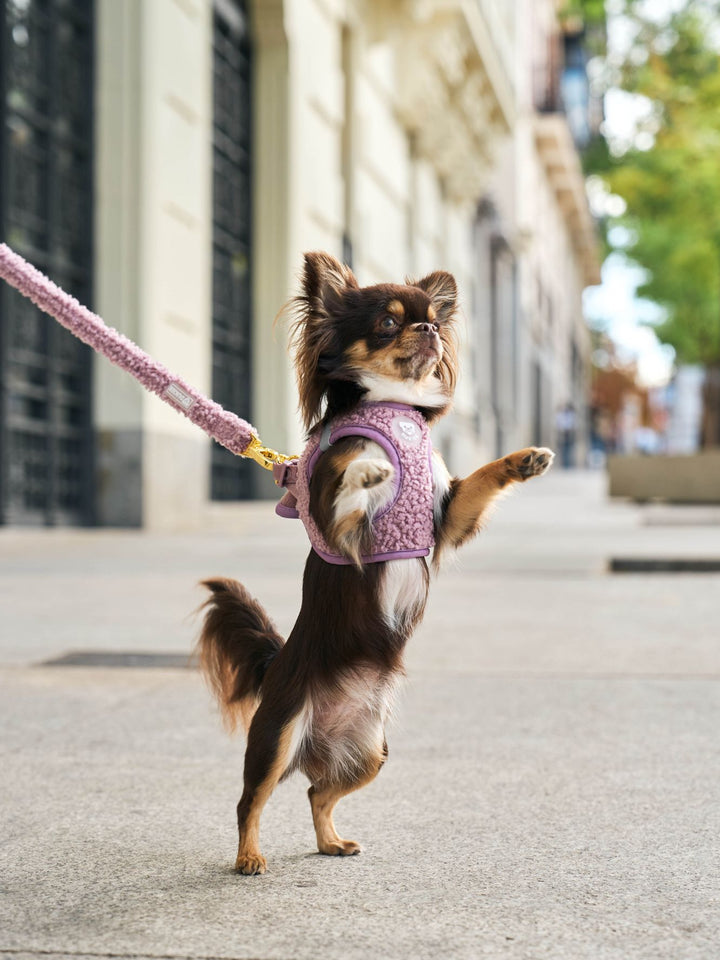 PETTORINA PER CANE BODY TEDDY LILAC