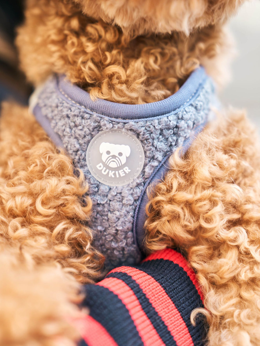 PETTORINA PER CANE BODY TEDDY NAVY