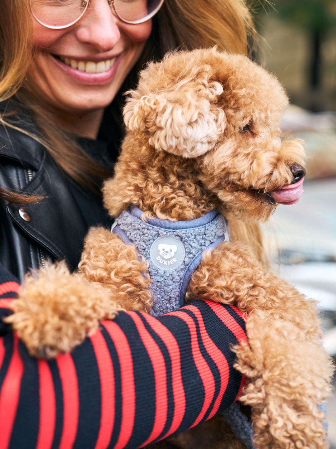 PETTORINA PER CANE BODY TEDDY NAVY