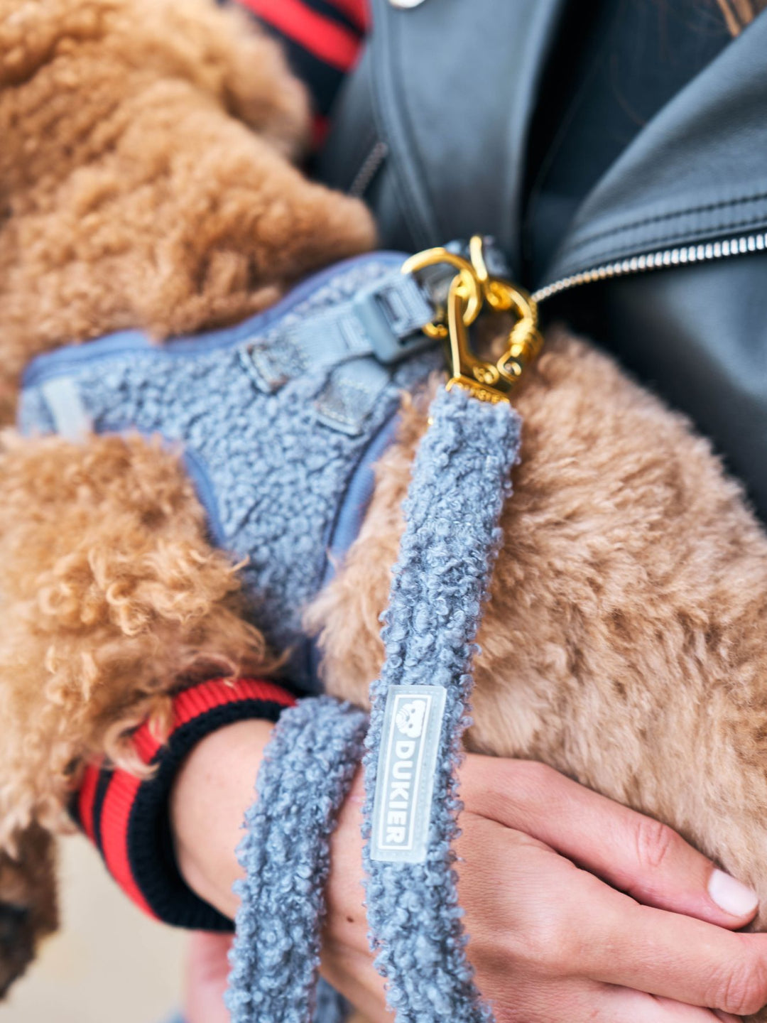 PETTORINA PER CANE BODY TEDDY NAVY