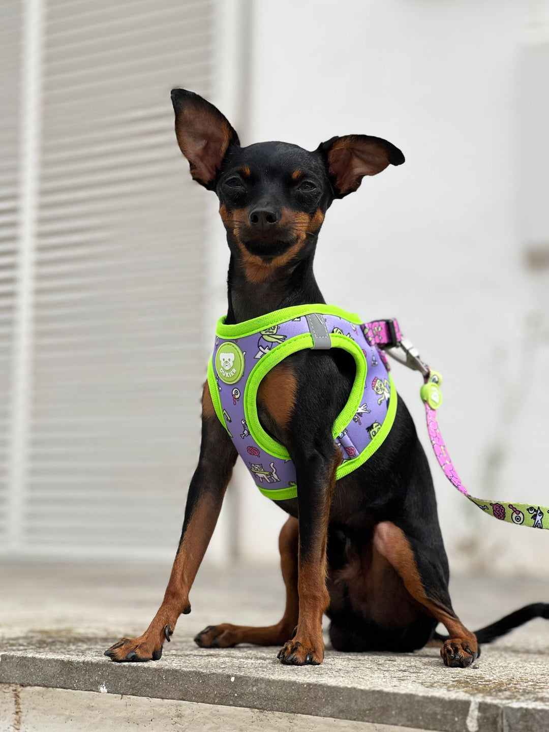 DOG BODY HARNESS FLOWER POWER