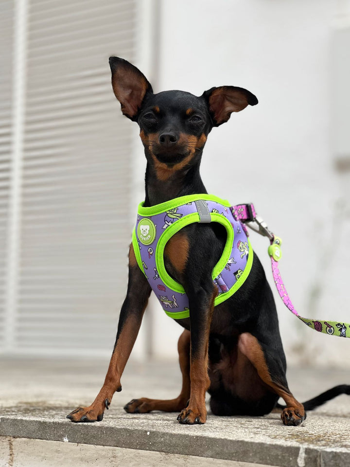 DOG BODY HARNESS FLOWER POWER