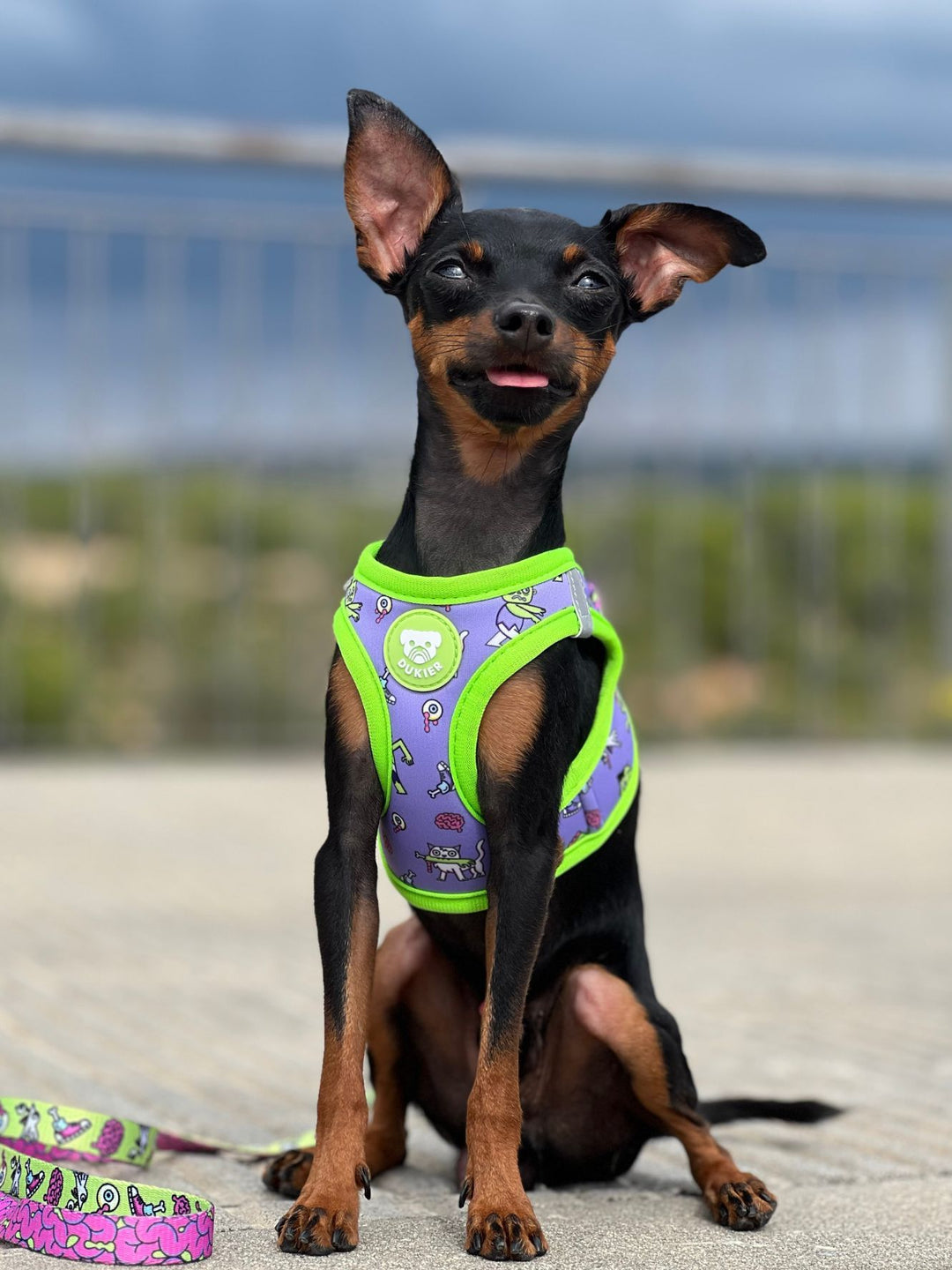 DOG BODY HARNESS FLOWER POWER
