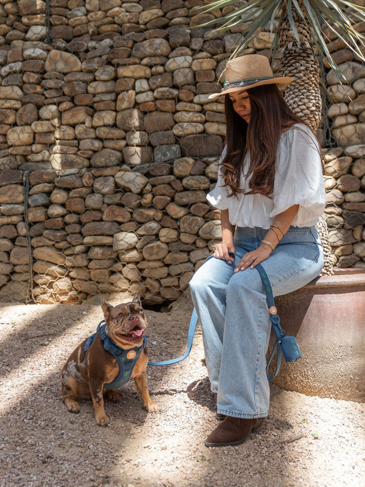 ARNÉS TRAIL PARA PERRO CACTUS