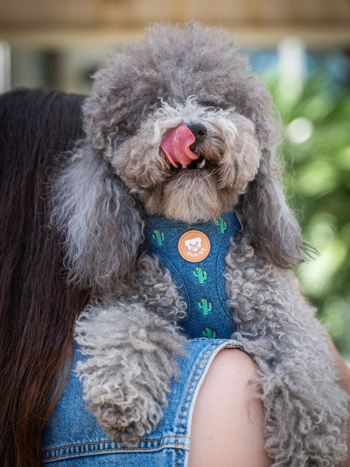 ARNÉS BODY PARA PERRO CACTUS