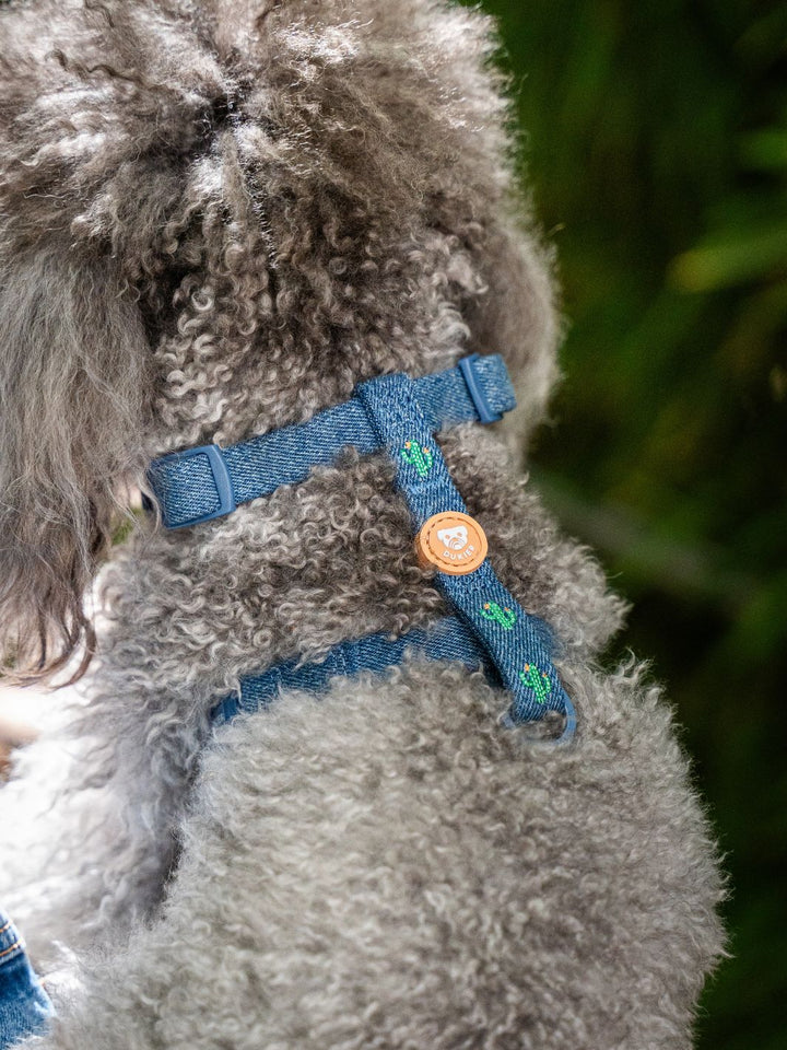 ARNÉS CLÁSICO PARA PERRO CACTUS