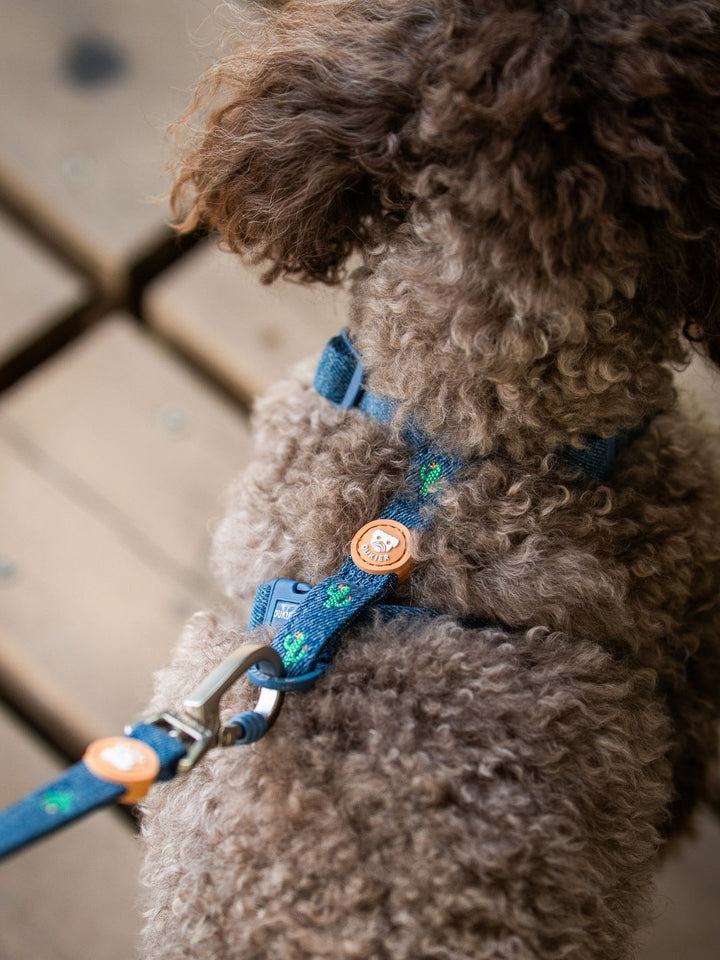 ARNÉS CLÁSICO PARA PERRO CACTUS