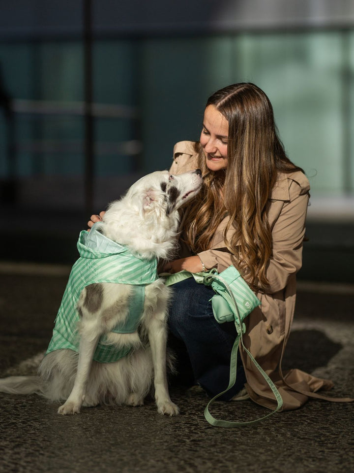 IMPERMEÁVEL PARA CÃO SOFT GREEN