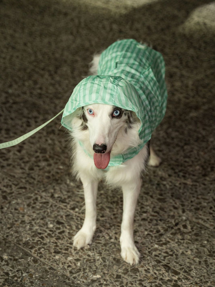 IMPERMEÁVEL PARA CÃO SOFT GREEN