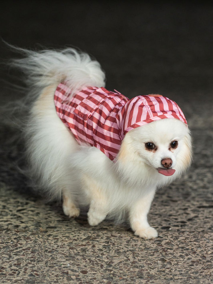 RAINCOAT FOR DOG TERRACOTA