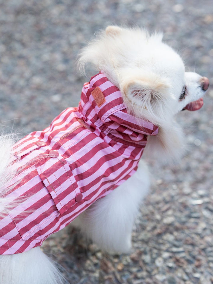RAINCOAT FOR DOG TERRACOTA