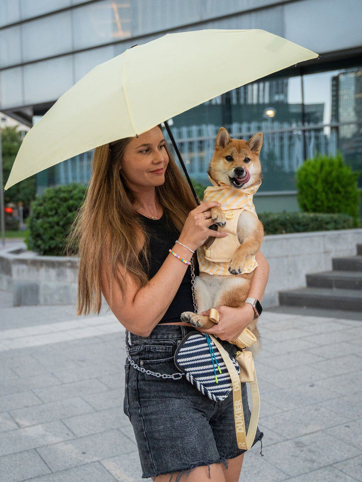 RAINCOAT FOR DOG VANILLA