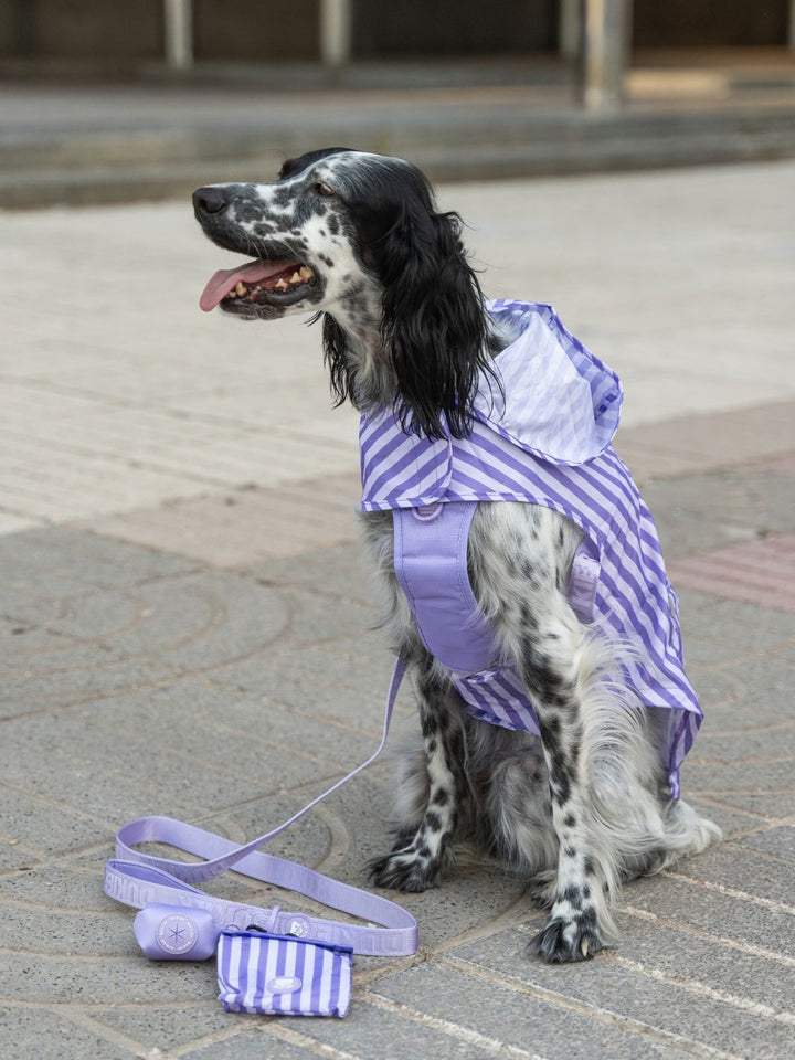 IMPERMEÁVEL PARA CÃO VIOLET