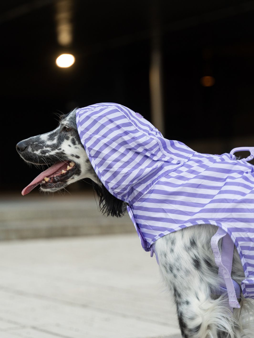 IMPERMEÁVEL PARA CÃO VIOLET