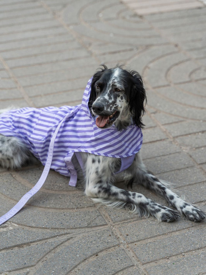 IMPERMEÁVEL PARA CÃO VIOLET