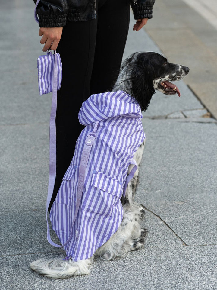 IMPERMEÁVEL PARA CÃO VIOLET