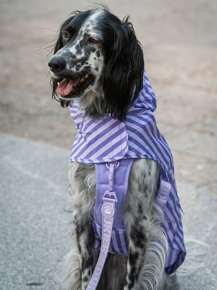 IMPERMEÁVEL PARA CÃO VIOLET