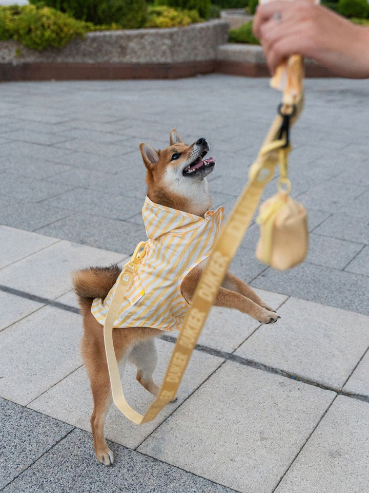 RAINCOAT FOR DOG VANILLA