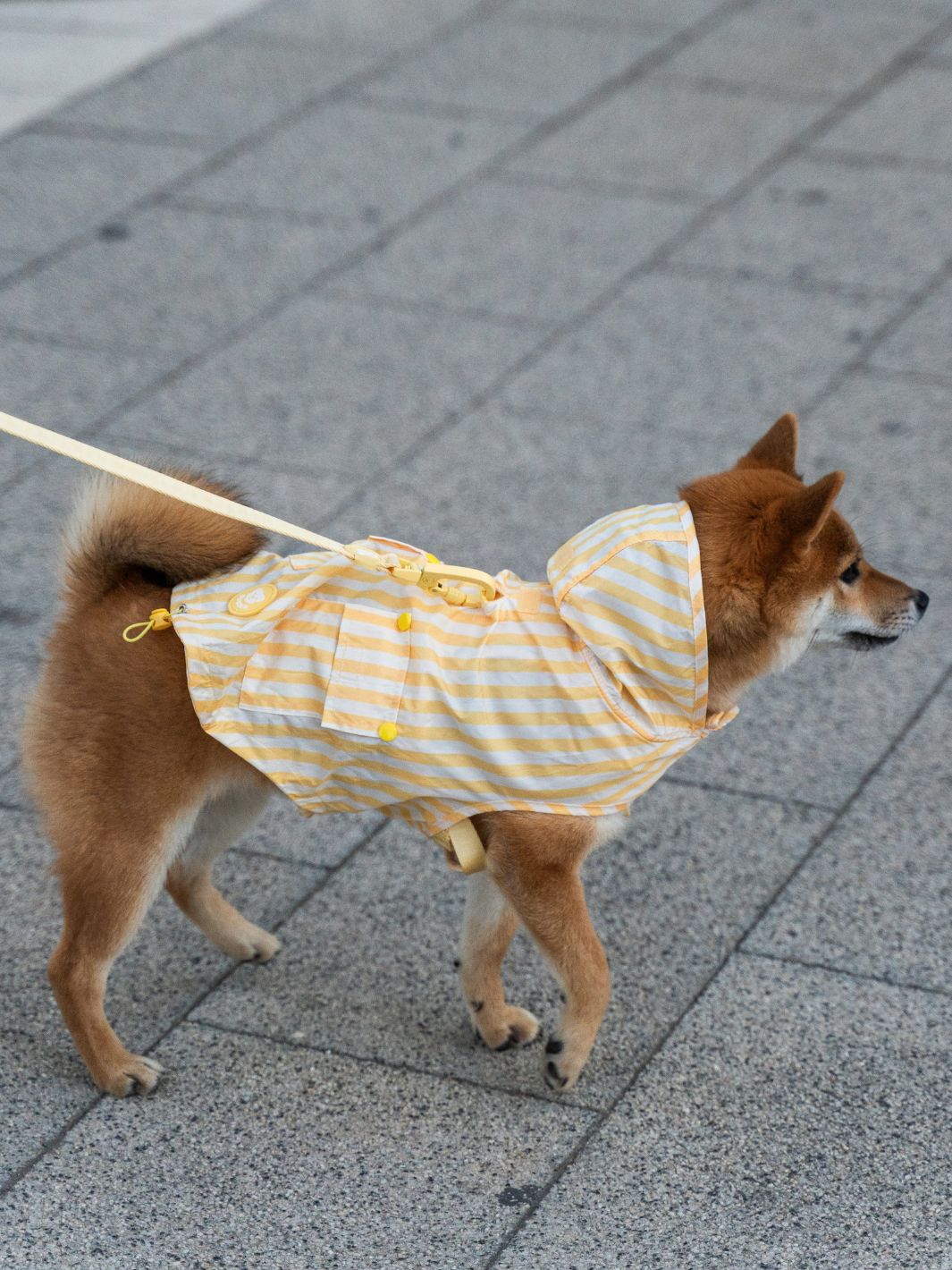 RAINCOAT FOR DOG VANILLA