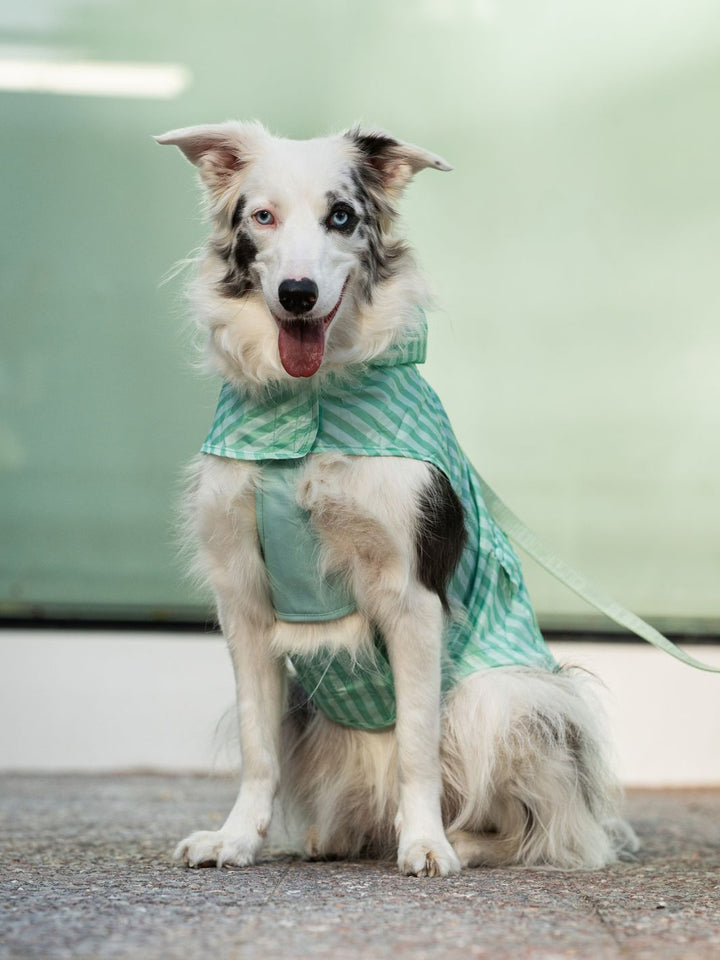 IMPERMEÁVEL PARA CÃO SOFT GREEN