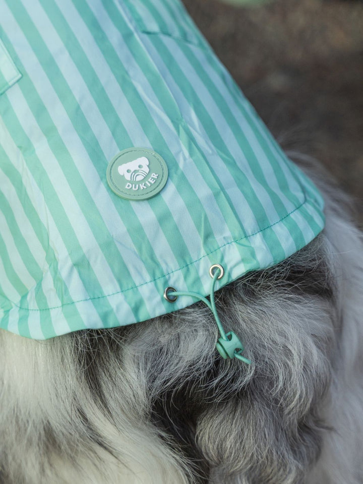IMPERMEÁVEL PARA CÃO SOFT GREEN