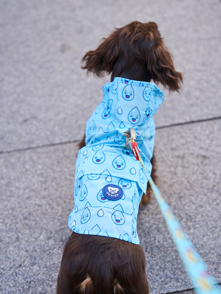 REGENJACKE FÜR HUNDE RAINDROPS