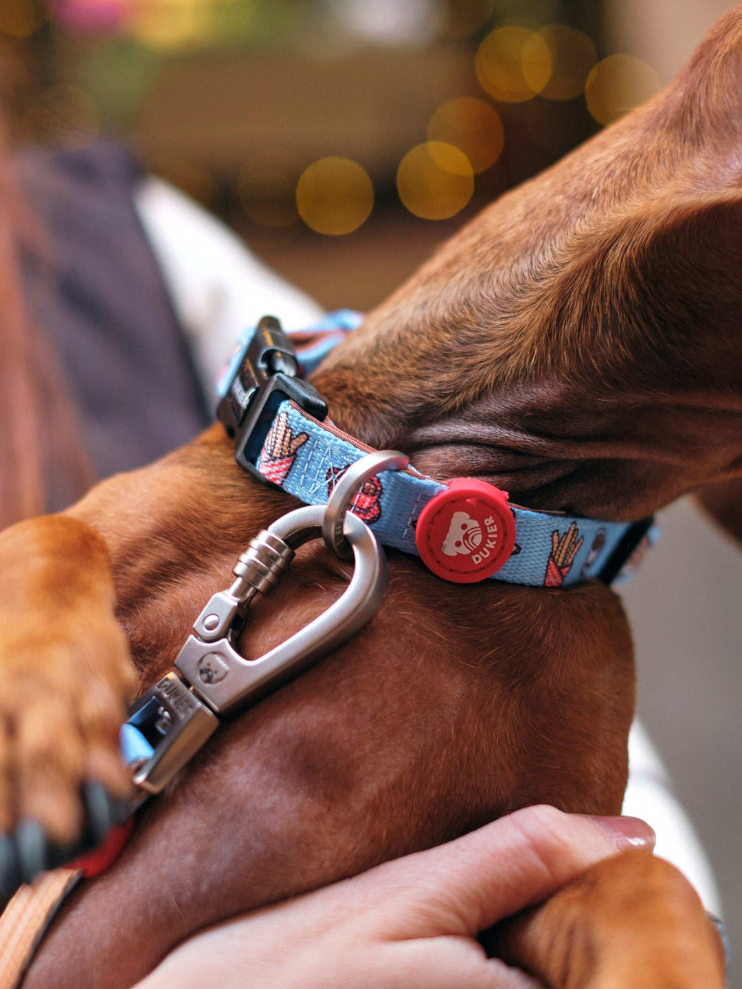 COLLAR PARA PERRO CHURROS