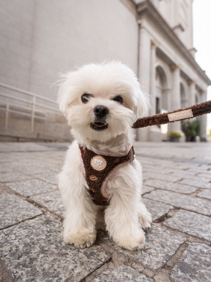 BODY HUNDEGESCHIRR LATTE TEDDY
