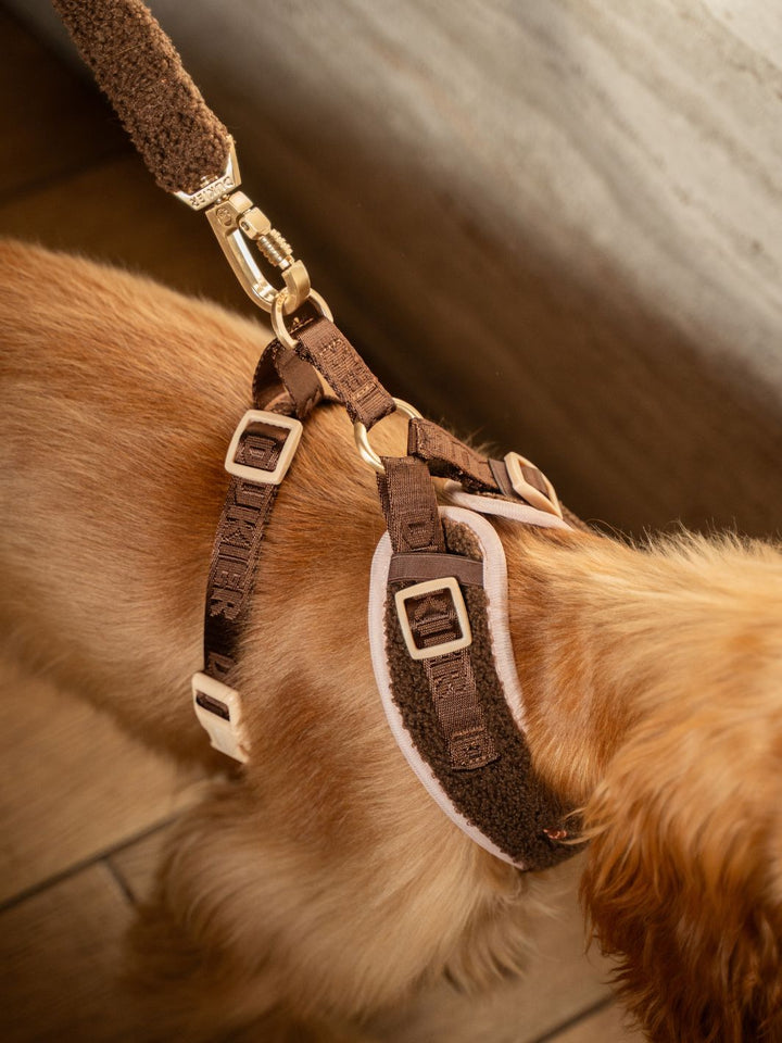 VERSTELLBARES HUNDEGESCHIRR LATTE TEDDY