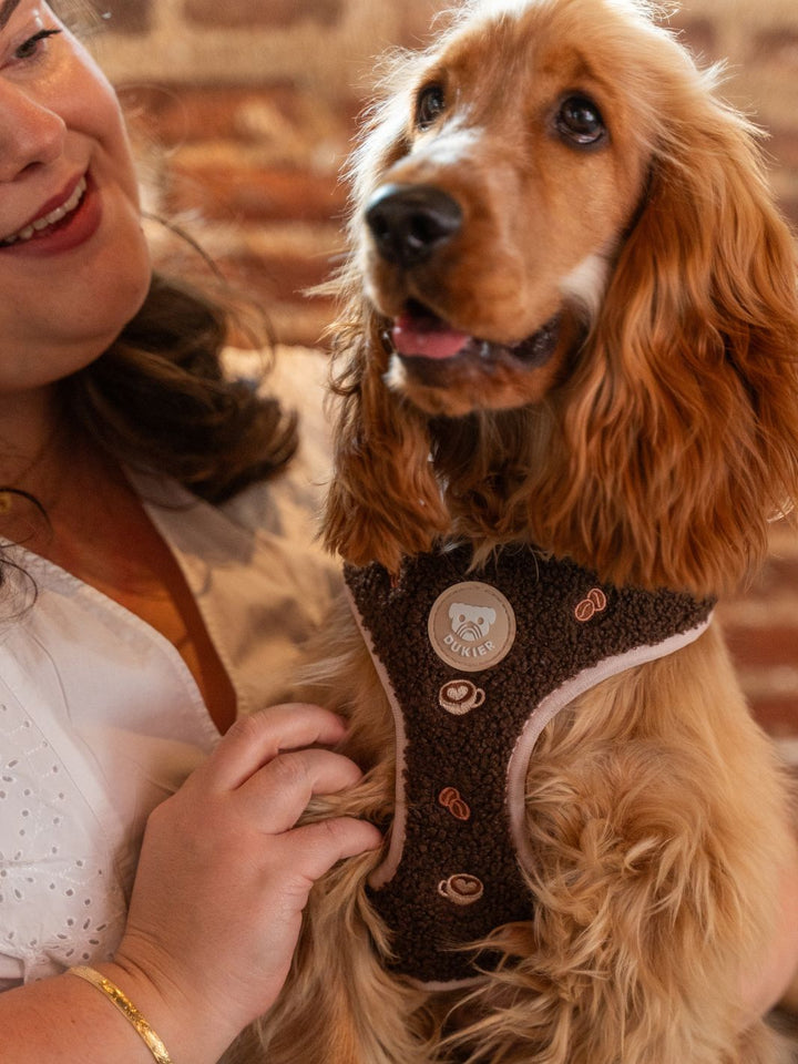 VERSTELLBARES HUNDEGESCHIRR LATTE TEDDY