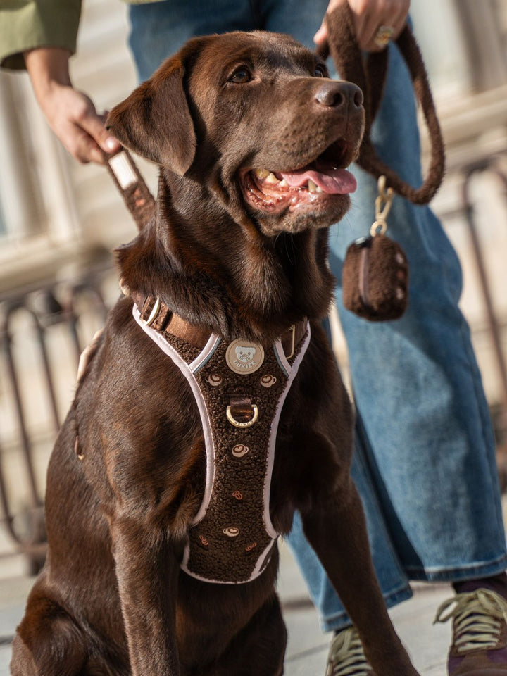 TRAIL HUNDEGESCHIRR LATTE TEDDY