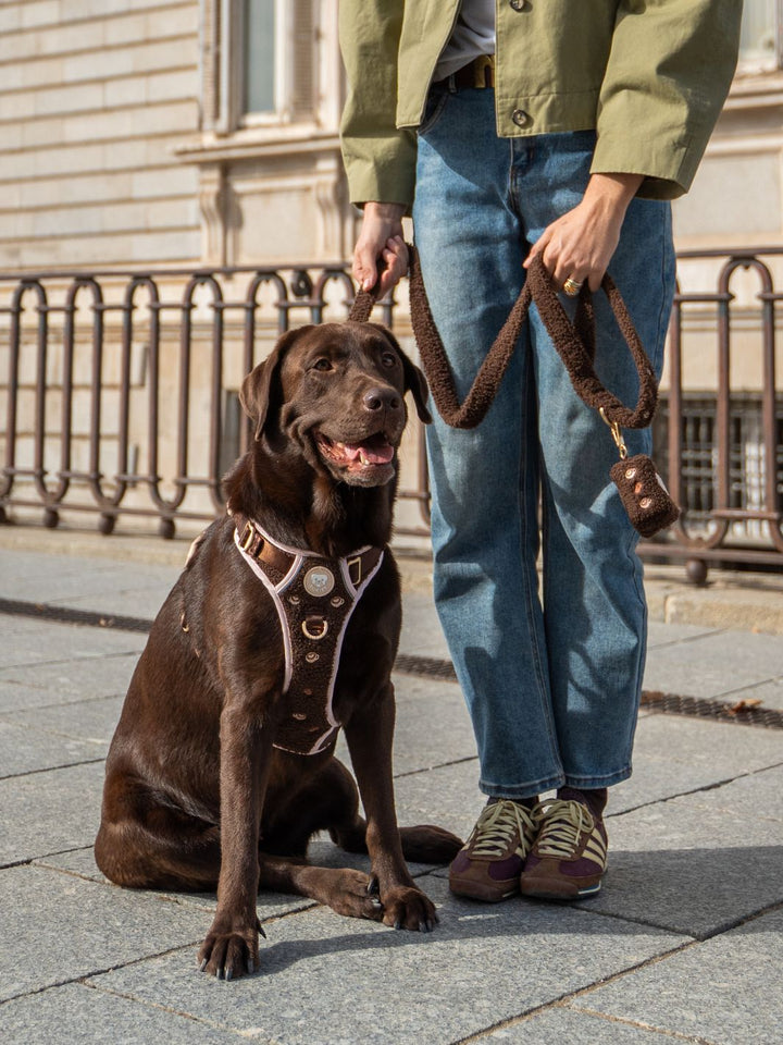 TRAIL HUNDEGESCHIRR LATTE TEDDY