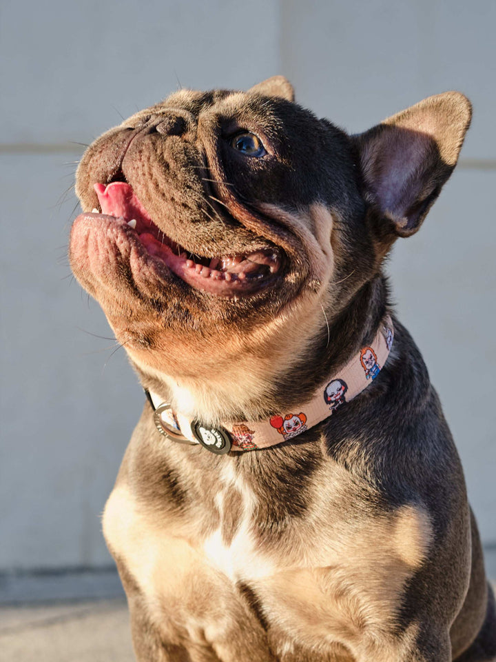 COLLAR PARA PERRO HORROR
