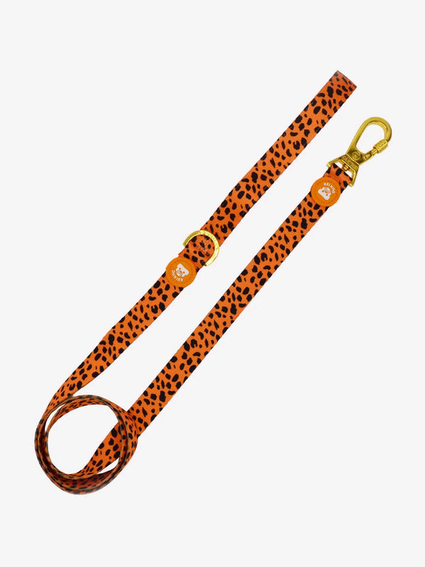 GUINZAGLIO  CHEETAH GOLD