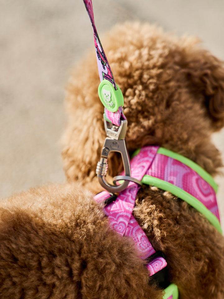 ROLLER DOLL LEASH FOR DOGS