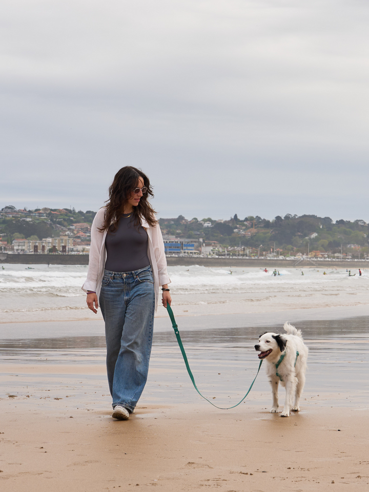 LAISSE WATERPROOF GREEN POUR CHIEN