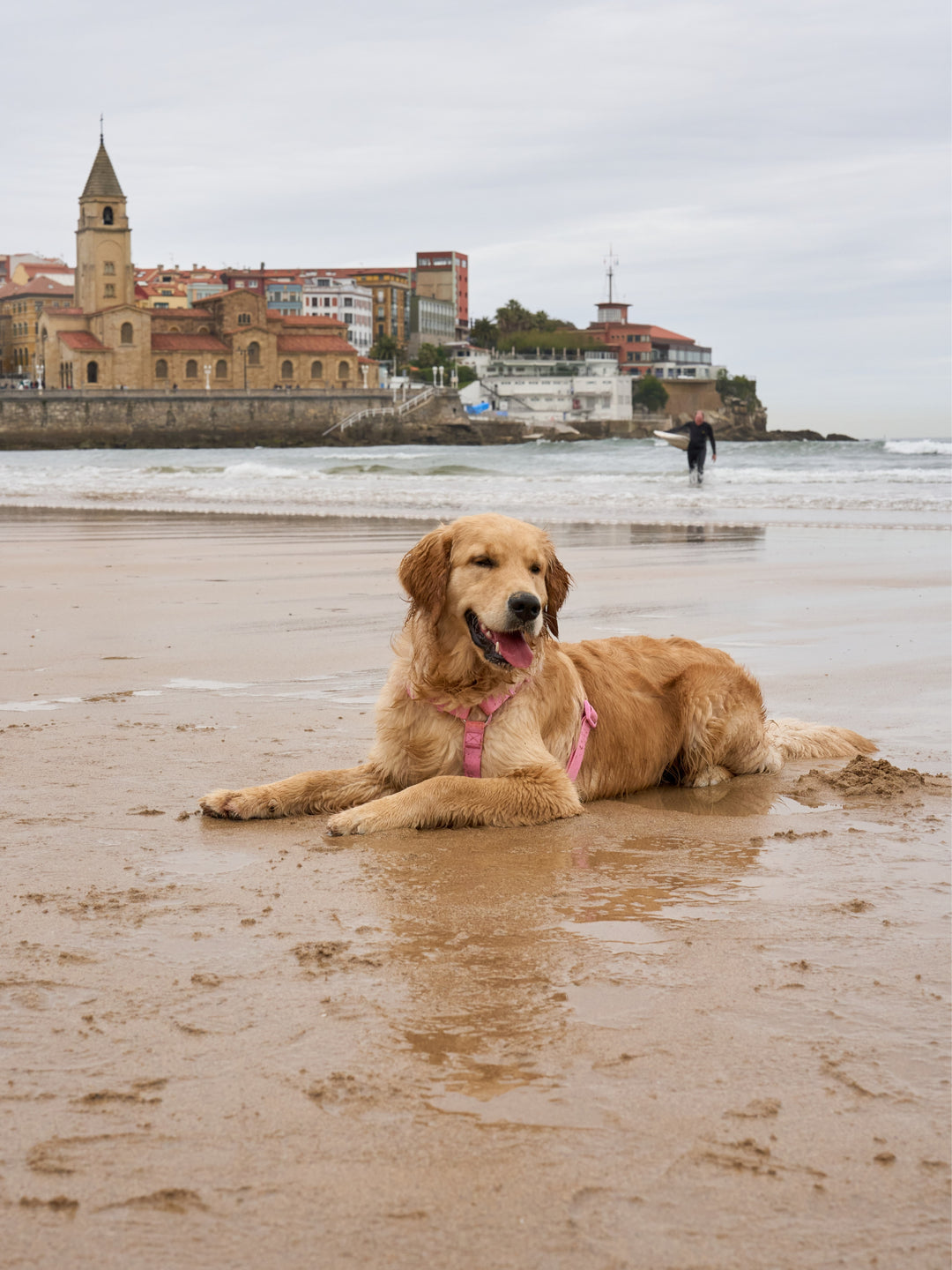 PINK WATERPROOF DOG HARNESS