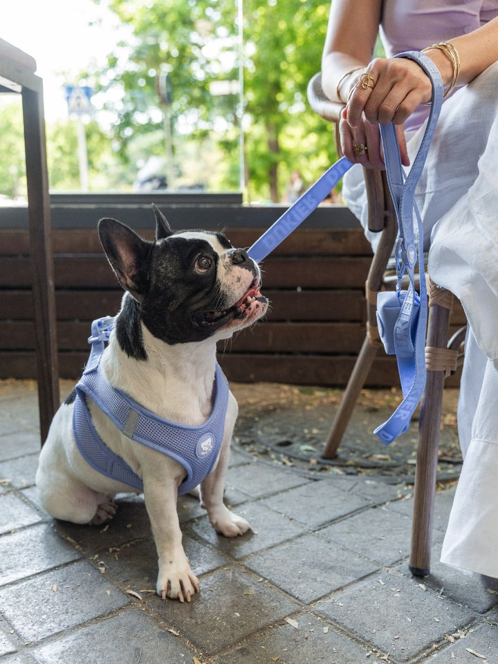 GUINZAGLIO PER CANI BLUEBERRY